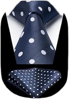 HISDERN Polka Dot Ties for Men Classic Silk Ties and Pocket Square Formal Business Necktie Handkerchief Wedding Party