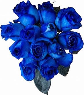 24 Stems - Fresh Cut Blue Roses by Flower Explosion