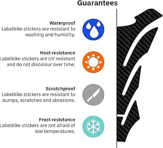 labelbike - 3D Sticker Motorcycle Tank Pad Protection and Decoration in Resin Compatible with Ducati Old Style