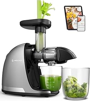 Cold Press Masticating Juicer Machine - 90% Yield Reverse System, Quiet Motor for Home & Breakfast, 3-Step Clean with Brush, Includes 50+ Juice Recipes, Silver Grey