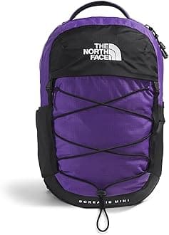 The North Face unisex-adult Borealis Mini Backpack Daypack