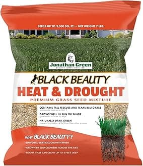 (10515) Black Beauty Heat & Drought Resistant Grass Seed - Cool Season Lawn Seed (7 lb)