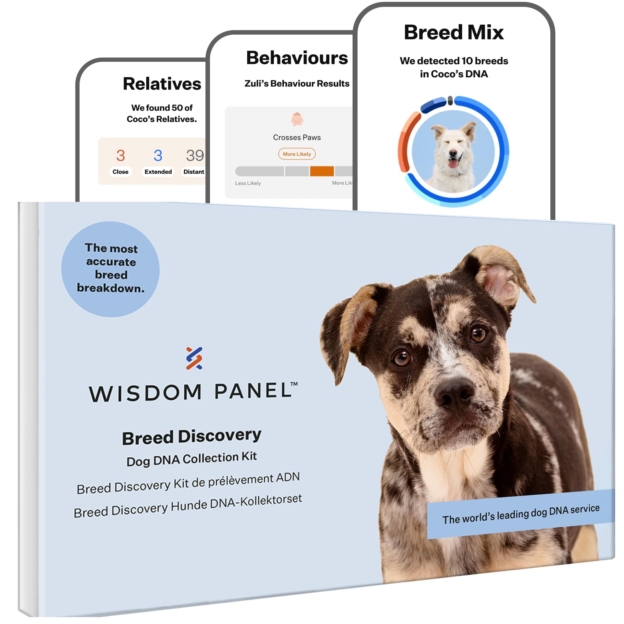 – Wisdom Panel Breed Discovery Dog DNA Test Kit - Most Accurate Breed ID | Behaviours | MDR1 | Ancestry | Relatives