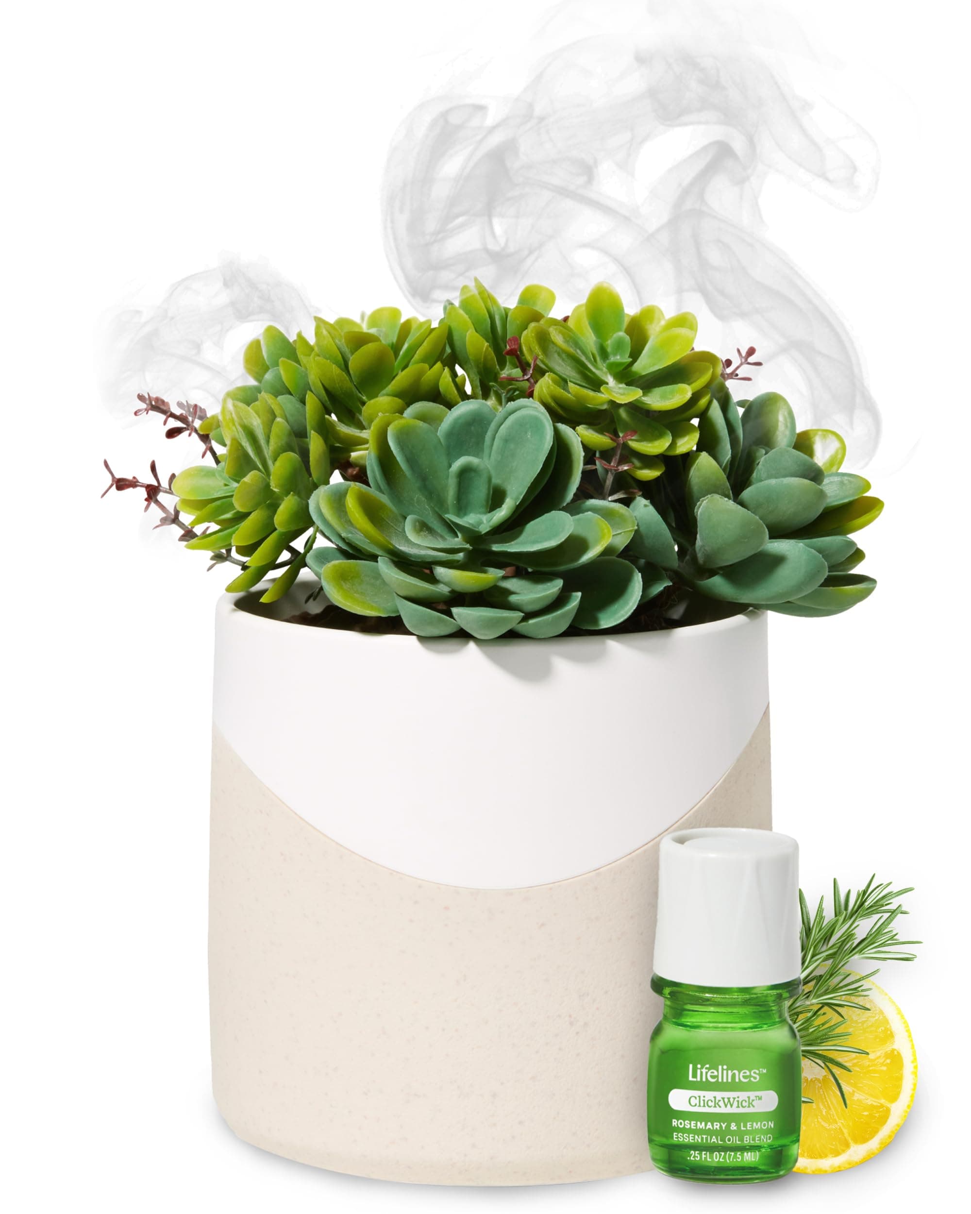 Lifelines Plant Diffuser with Essential Oil Blend - Modern Planter, Succulent - Rechargeable Aromatherapy Diffuser, Artificial Faux Plants Home & Office - ClickWick Blend Included