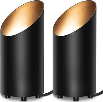 SUNVIE 2 Pack Up Lights Indoor Floor Can Light Uplighting Indoor Spotlight with 2700K GU10 Bulb Accent Lighting Floor Uplighting for Home Plant Picture, UL Listed 5.9 FT Plug Cord & Foot Switch