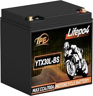 12 Volt Lithium Motorcycle Battery Powersport Battery LiFePO4 Engine Start Battery 10 AH 700CCA with BMS 4000+Life Cycles YTX30L-BS