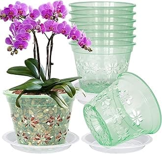 Orchid Pot, 8 Pack Orchid Pots with Holes & Saucers, Clear Plastic Pot for Repotting, Breathable Ventilation Planters for Phalaenopsis, Dendrobium & Oncidium Orchids(7 inch, Green)