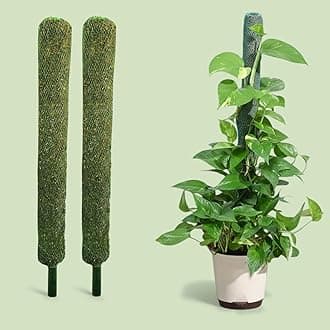 Bhajanlal Greenery Moss Stick/Coco Pole for Climbing Indoor & Outdoor Plants | Green Grass Pole for Housing Plants, Creeper Support | Moss Stick (3FT, 2 Pcs)