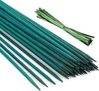 Pllieay 30 Pieces of 30 cm Green Bamboo Sticks with 60 Pieces Metallic Twist Ties, Green Plant Stake, Floral Picks, Wooden Sign Posting Garden Sticks, Plant sticks, Plant Stake