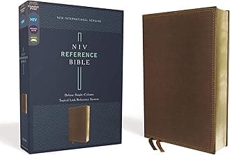 Holy Bible: New International Version, Brown, Leathersoft, Deluxe Single-Column, Leathersoft, Comfort Print, Reference
