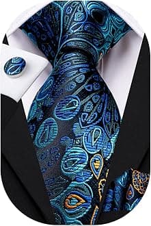 Hi-Tie Silk Paisley Ties for Men Necktie Pocket Square Cufflinks Set Foral Tie Sets Formal Business