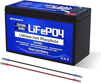 ECO-WORTHY 12V 8AH LiFePO4 Battery,4000+ Cycles Lithium Deep Cycle Battery with 8A BMS,for Solar,Fish Finder,Power Wheels,Lighting,Alarm System