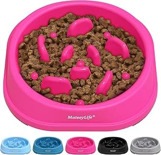 MateeyLife Small Slow Feeder Cat Bowls, Anti-Choking Puzzle Cat Food Bowls, Non Slip Interactive Dog Feeding Slow Down Eating, Bloat Stop Maze Dishes Dog Feeder for Small Breeds 1 Cup Purple