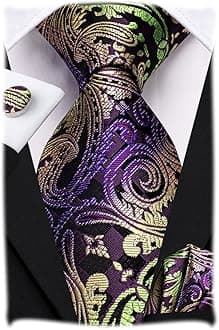 Hi-Tie Paisley Floral Ties Set for Men Silk Mens Stripes Necktie Pocket Square Cufflinks Set Formal Business