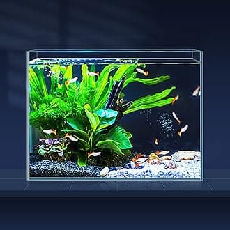 3 Gallon Rimless Glass Fish Tank