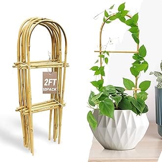 Avalution 10 Pack Bamboo U Trellis for Climbing Plants, 2ft Garden Ladder Trellis for Potted Plants Indoor, Ladder Small Plant Support Trellis for Houseplants Ivy Hoya Vine Monstera