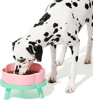 VETRESKA Food Bowl, Tableware, Anti-Spoming, Easy to Eat, Slanted, Height, Anti-Slip Mat, Stylish, Cute, Ceramic, For Pets, Cats, Dogs, Stress Relief, Tableware, Water Container, Bait Dish, Feeding Plate, Food Container, Rice Dish, L