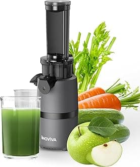 Cold Press Juicer, INOVIVA Masticating Juicer Machines Compact, Slow Juicer with 70 RPM Low Speed, Juice Maker for Vegetable & Fruit, Portable Juice Extractor High Juice Yield & Easy to Clean, Grey