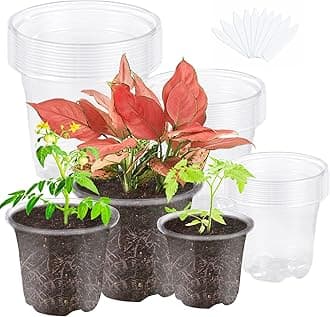 JOPY30 Pack 3.5/4/5 Inch Plastic Nursery Pots for Plants Clear Seed Starter Pots Seedlings Planting Pots Small Planter Containers with Drainage Holes (Transparent-no lid)