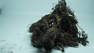 THOGAI’S -”JADAMANJI”- Jatamansi/Tapaswani/Bhytajata/Indian spikenard/Musk-root/Indian nard/Nard Indian/Balchara/Jatamavshi/Jatamamsi/Bhutijata/Billilotan (100 GRAMS (PCK OF 1))