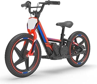Electric Dirt Bike for Kids 5-10, 340W Racing Experience Lightweight Motorcycle Up to 12MPH & 3 Speed Settings, 24V Detachable Battery, Safe Disc Brakes, 16 Inch Knobby Tires
