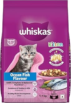 Junior Mother Cat & Kitten (2-12 Months) Dry Cat Food, Ocean Fish Flavour, 1.1 kg, Contains 41 Essential Nutrients, Complete & Balanced Nutrition for Mother Cats & Kittens