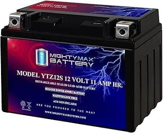 YTZ12S -12 Volt 11 AH, 210 CCA, Rechargeable Maintenance Free SLA AGM Motorcycle Battery