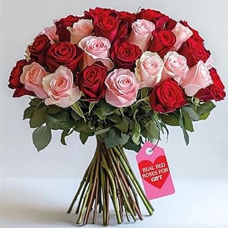 GlobalRose Fresh Cut Red & Pink Roses - 50-25 Red & 25 Pink - Real Fresh Flowers Bouquet for Wedding, Birthday, Anniversary, Valentine's Day or Home Decor - Flowers Delivery Gift (OM)