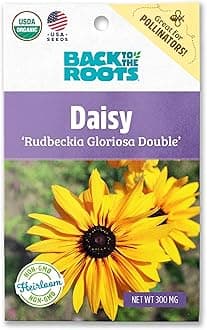 Back to the Roots - 100% Organic Seed Packet - Daisy 'Rudbeckia Gloriosa Double'