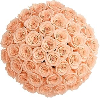 GlobalRose 200 Peach Roses Bouquet - Responsibly Sourced Roses Fresh Flowers - Hand-Picked Flowers Fresh Bouquet for Valentine's Day, Birthday & Special Occasions (8 Bunches of 25 Stems)