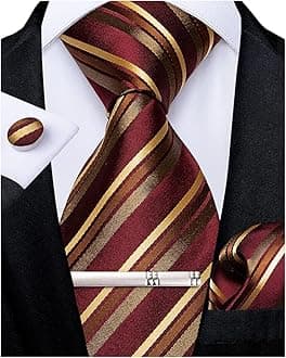 Mens Striped Tie Silk Woven Necktie and Pocket Square Cufflinks Tie Clip Set Wedding Business Formal Gift Tie for Men
