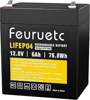 12V 6Ah LiFePO4 Lithium Battery - Built-in 6A BMS, Energy Storage, 1500-5000 Rechargeable Deep Cycles, Pefect for Solar/Wind Power, Small Backup UPS, Ride on Toys,Lighting, Home Alarm System