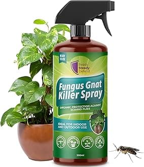 – Fungus Gnat Killer Spray 200ml | Organic Protection Against Sciarid Flies | Effective for Houseplants, Seedlings | Safe for Indoor & Outdoor Use | Targets Adults & Larvae | Eco-Friendly Formula