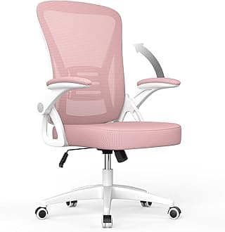 naspaluro Office Chair Ergonomic Desk Chair with 90° Flip-up Armrest Lumbar Support, Height Adjustable Office Desk Chair, Executive Swivel Computer Chair with Padded Seat Cushion for Home/Office-Pink