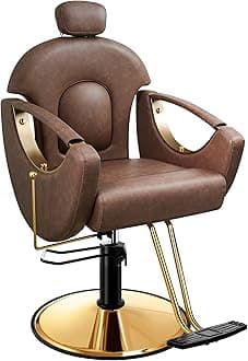 Baasha Gold Styling Reclining Hair Salon Chair, Ergonomic Design with Removable Headrest, 360 Swivel, Heavy Duty, Brown