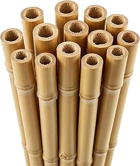 Blado Thick Bamboo Canes - Heavy Duty, Natural Garden Stakes, Strong Bamboo Sticks for Plant Support - Ideal for Gardens and Outdoor Spaces 2FT, 3FT, 4FT, 5FT, 6FT (50, 3ft, 10-12mm)