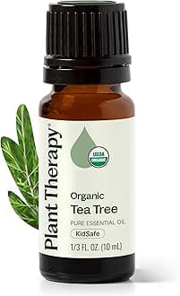 Plant Therapy Organic Tea Tree Oil (Melaleuca) 100% Pure, USDA Certified Organic, Undiluted, Natural Aromatherapy for Skin, Hair, and Toenails, Therapeutic Grade 10 mL (1/3 oz)