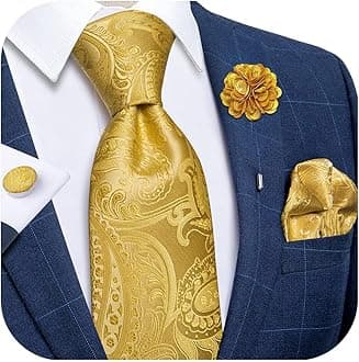 DiBanGu mens Tie Formal (pack of 5)