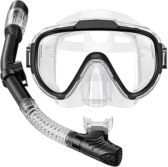 Snorkel Set Adults Snorkeling Gear Anti-Fog Panoramic View Swim Mask Dry Top Snorkel Kit with Carry Bag for Snorkeling Scuba Diving Swimming Travel
