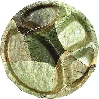 100% Bio-Degradable | Disposable | Eco-Friendly | Wedding | Anniversary | Birthday | Party Events | Occasion | Compostable | Natural Palash Leaf Plates- 14" (Pack of 25)