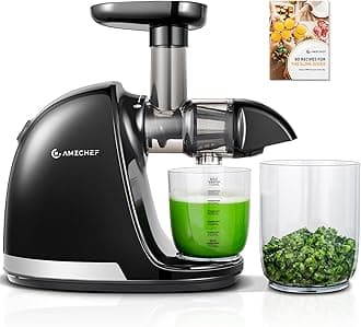 Cold Press Juicer Machines, AMZCHEF Slow Masticating Juicer with Reverse Function, High Juice Yield, Easy Clean with Brush, Recipes for High Nutrient Fruits and Vegetables, Black(Updated)