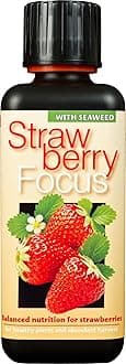 Strawberry Focus Liquid Concentrated Fertiliser 300 ml