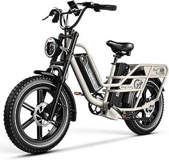 Dual Battery Electric Bike for Adults, 160 Miles Long Range Cargo Ebike with 48V 60AH Removable Battery, 1450W Peak Motor 34MPH Electric Bicycle, 20" x 4" Fat Tire Hydraulic Disc Brakes E Bike Grey