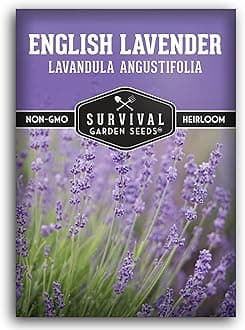 English Lavender Seeds for Planting (Lavandula angustifolia) – Edible Culinary Herb with Fragrant Blooms, Hardy Perennial for Outdoor or Indoor Gardens – Survival Garden Seeds (1 Pack)