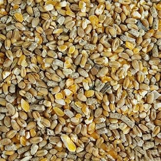 BusyBeaks Chicken Corn Extra | Premium Grade Poultry Feed | Nutritious Oyster Shell, Layers Pellets, Fibre Wheat & Split Maize | High Energy, Protein-Rich Food Mix | Perfect Year-Round Seed (1kg)