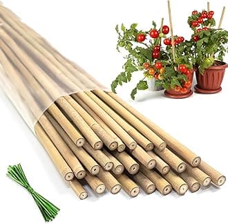 Plant Stakes,20Pcs Bamboo Stakes,18 Inches Natural Bamboo Plant Support Stakes,Bamboo Stakes for Indoor and Outdoor Plants Tomatoes Beans Flowers Potted Plants Climbing Support