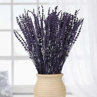 Dried Preserved Lavender Flowers - 2 Bundles with 3.5oz for Home Decor, DIY Arrangements, Photo Props, & Fragrance - 15"-17", Purple Lavender Bunches.
