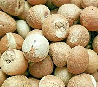 ZM Betel Nuts,(Vakkalu) Kotta Pakku Aracut Adike/Areca Catechu/paaku/atekka/puga/kramukamu/adike/gua/hopari - 250g