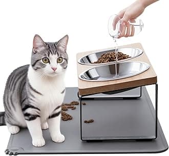 Upgraded Elevated Cat Bowls with Food Mat,15°Tilted Stand Anti Vomiting Raised Cat Dishes for Food and Water,2 Stainless Steel Bowls for Cats and Puppy