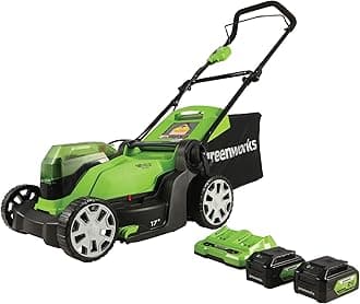 Greenworks 2 x 24V (48V) 17" Cordless Lawn Mower, (2) 4.0Ah USB Batteries (USB Hub) and Dual Port Rapid Charger Included